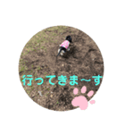まるこ13（個別スタンプ：18）
