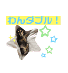 まるこ13（個別スタンプ：24）