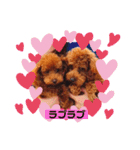 ぴのちゃん❤️（個別スタンプ：2）