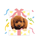 ぴのちゃん❤️（個別スタンプ：12）