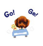 ぴのちゃん❤️（個別スタンプ：15）