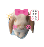 私のうさぎ。シャルル第3弾（個別スタンプ：3）