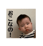 ひなたんたんスタンプ（個別スタンプ：1）