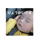 ひなたんたんスタンプ（個別スタンプ：5）