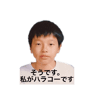 みんなのハラコー（個別スタンプ：6）