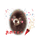 黒ポメ《恋音》のつぶやき（個別スタンプ：8）