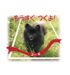 黒ポメ《恋音》のつぶやき（個別スタンプ：29）