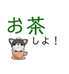 柳岡家の愛犬コロ助（個別スタンプ：10）