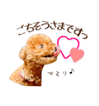 かわいいワンコのリアルスタンプ〜日常編〜（個別スタンプ：10）