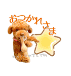 かわいいワンコのリアルスタンプ〜日常編〜（個別スタンプ：12）
