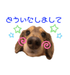 ミルレモピイちゃん by晩ママ（個別スタンプ：4）