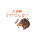 ミルレモピイちゃん by晩ママ（個別スタンプ：11）