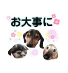ぼぼ,じむ,びびさん by晩ママ（個別スタンプ：8）
