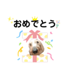 ぼぼ,じむ,びびさん by晩ママ（個別スタンプ：9）