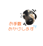 ぼぼ,じむ,びびさん by晩ママ（個別スタンプ：10）