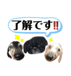 ぼぼ,じむ,びびさん by晩ママ（個別スタンプ：11）