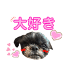 ぼぼ,じむ,びびさん by晩ママ（個別スタンプ：12）