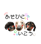 ぼぼ,じむ,びびさん by晩ママ（個別スタンプ：16）