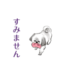 かわいいシーズー犬「ぺろ」（個別スタンプ：3）