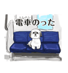 かわいいシーズー犬「ぺろ」（個別スタンプ：11）