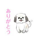 かわいいシーズー犬「ぺろ」（個別スタンプ：24）