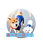 黒コッカー  チョコ＆おともだち2（個別スタンプ：5）