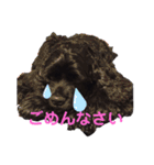 黒コッカー  チョコ＆おともだち2（個別スタンプ：12）