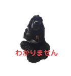 黒コッカー  チョコ＆おともだち2（個別スタンプ：28）