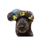 いぬとあくま（個別スタンプ：3）