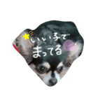 いぬとあくま（個別スタンプ：5）