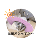 もちゃ 9（個別スタンプ：3）