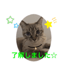 もちゃ 9（個別スタンプ：5）