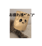 もちゃ 9（個別スタンプ：6）