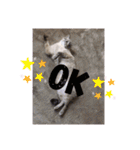 もちゃ 9（個別スタンプ：8）