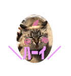 もちゃ 9（個別スタンプ：17）
