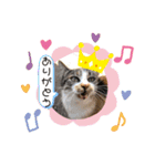 ANIMALᙏ̤̫͚（個別スタンプ：2）