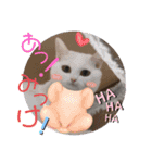 ANIMALᙏ̤̫͚（個別スタンプ：12）