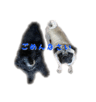 犬 ダックス プードル パグ（個別スタンプ：5）