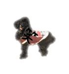 犬 ダックス プードル パグ（個別スタンプ：16）