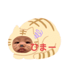 たいちゃんの親バカスタンプ（個別スタンプ：15）