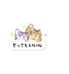 ことらねこ (吹き出し)（個別スタンプ：6）