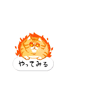 ことらねこ (吹き出し)（個別スタンプ：14）