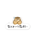 ことらねこ (吹き出し)（個別スタンプ：15）