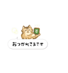 ことらねこ (吹き出し)（個別スタンプ：19）