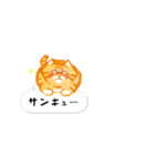 ことらねこ (吹き出し)（個別スタンプ：22）