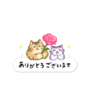 ことらねこ (吹き出し)（個別スタンプ：23）