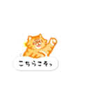 ことらねこ (吹き出し)（個別スタンプ：25）