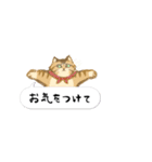 ことらねこ (吹き出し)（個別スタンプ：27）