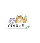 ことらねこ (吹き出し)（個別スタンプ：31）