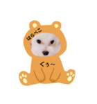 じゅりあちゃん♡しらちゃん（個別スタンプ：5）